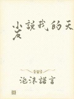 小说我的天才女友