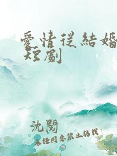 爱情从结婚开始 短剧