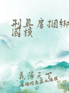 刑具房捆绑调教国模