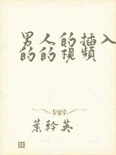 男人的插入女人的的视频