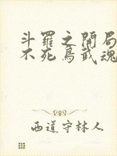 斗罗之开局签到不死鸟武魂