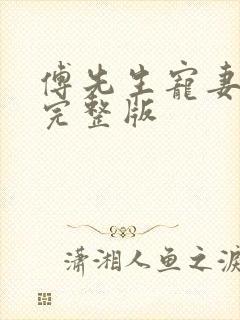 傅先生宠妻无度完整版