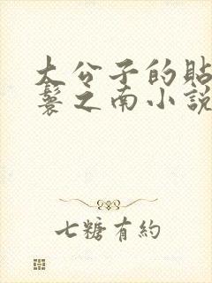 大公子的贴身丫鬟之南小说