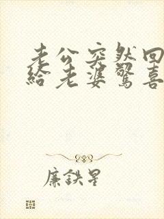 老公突然回家想给老婆惊喜