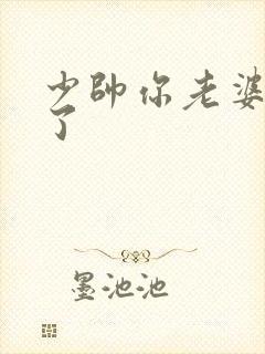 少帅你老婆又跑了