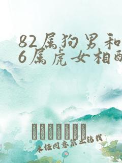 82属狗男和86属虎女相配吗