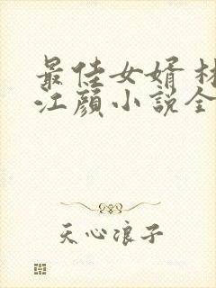 最佳女婿 林羽江颜小说全文免费阅读顶点