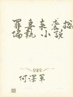 罪妻来袭总裁很偏执 小说