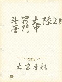斗罗大陆2绝世唐门中