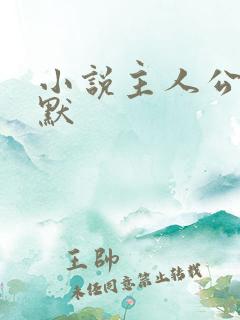 小说主人公叫沈默