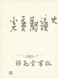 小天风流史全文免费阅读