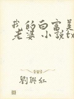 我的白富美总裁老婆 小说txt