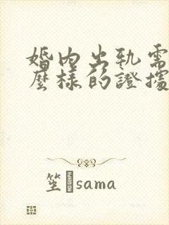 婚内出轨需要什么样的证据