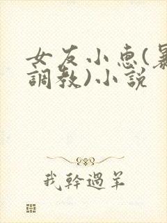 女友小惠(暴露调教)小说