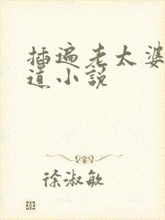 插遍老太婆的阴道小说