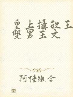 皇上摄政王小说双男主文