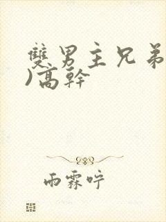 双男主兄弟(双)高干