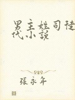 男主姓司徒的现代小说