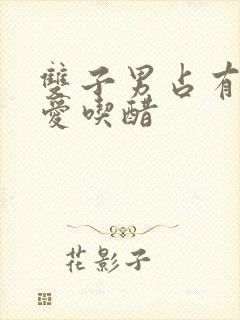 双子男占有欲强爱吃醋