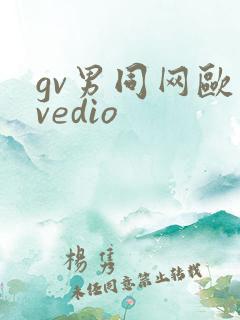 gv男同网欧美vedio