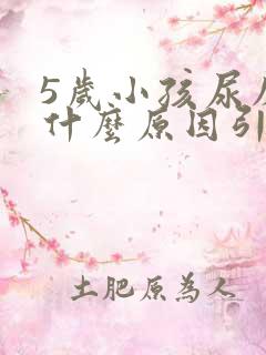 5岁小孩尿床是什么原因引起的