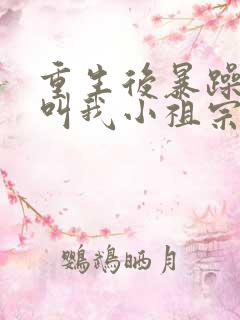 重生后暴躁大佬叫我小祖宗小