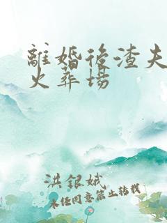 离婚后渣夫追妻火葬场