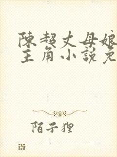 陈超丈母娘赵悦主角小说免费阅读