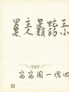 男主是蛇王女主是人类的小说