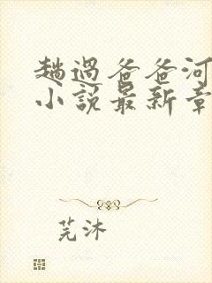 趟过爸爸河同志小说最新章节