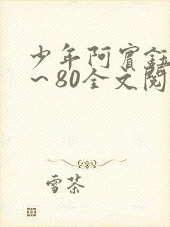 少年阿宾钰慧1～80全文阅读目录