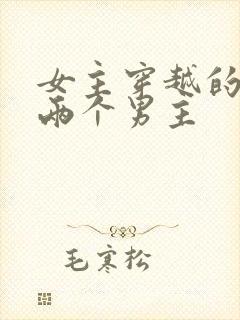 女主穿越的,有两个男主