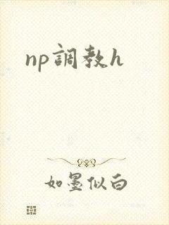 np调教h