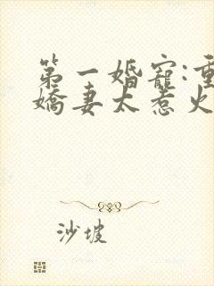 第一婚宠:重生娇妻太惹火 清歌一片