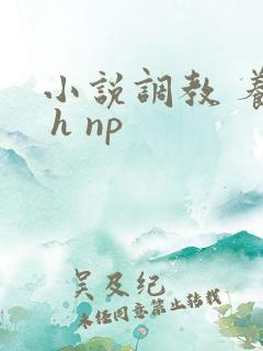 小说调教 养成 h np