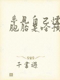 梦见自己怀孕双胞胎是啥预兆