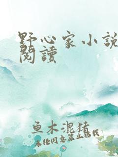 野心家小说在线阅读