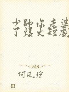 少帅你老婆又跑了爆火短剧