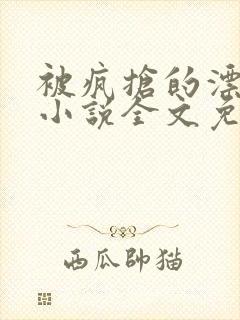 被疯抢的漂亮攻小说全文免费阅读无弹窗