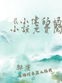 《小伟的妈妈》小说免费阅读