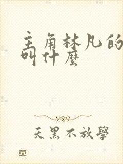 主角林凡的小说叫什么