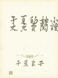 午夏的她小说全文免费阅读