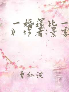 一婚还比一婚高》作者:晨雾的光