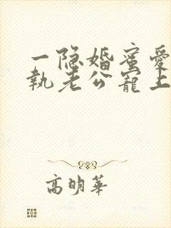 一隐婚蜜爱:偏执老公宠上瘾