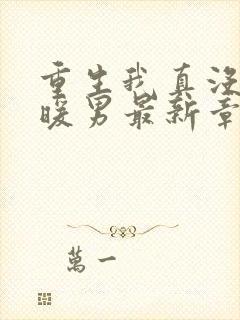 重生我真没想当暖男最新章节