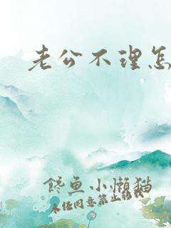 老公不理怎么办