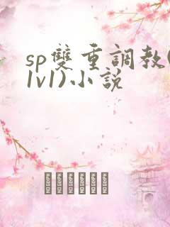 sp双重调教(1v1)小说