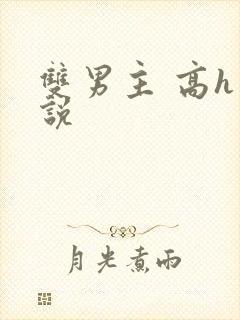 双男主 高h小说