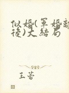 似婚(军婚离婚后)大结局