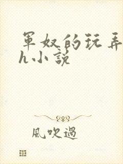 军奴的玩弄调教h小说